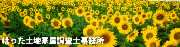 82D082DC82ED82E8previewimage.png